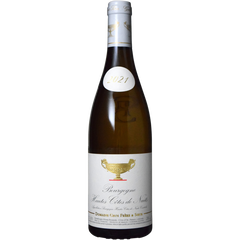 Domaine Gros Frere Et Soeur Bourgogne Hautes Cotes De Nuits Blanc 2021