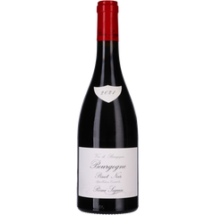 Remi Seguin Bourgogne Pinot Noir 2021