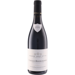 Domaine Amiot Et Fils Coteaux Bourguignons 2022