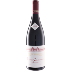 Domaine Michel Gros Gevrey-Chambertin La Platiere 2023