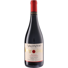 Vina Valdivieso Valley Selection Syrah 2021