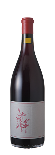 Arnot Roberts Gamay Noir El Dorado 2023