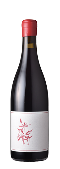 Arnot-Roberts Pinot Noir Fox Creek Carmel Valley 2023 2023 , 2022