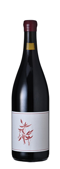 Arnot-Roberts Syrah Sonoma Coast 2021 2023 , 2021