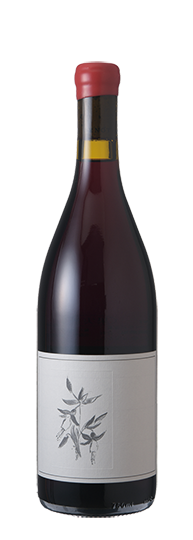 Arnot-Roberts Zinfandel Kirschenmann Vineyard Mokelumne River 2024 2024 , 2023