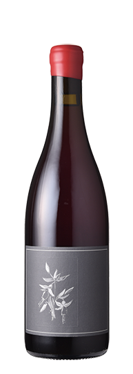 Arnot-Roberts Trousseau North Coast 2022