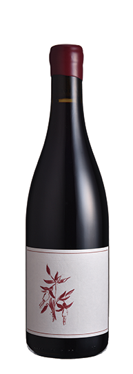 Arnot-Roberts Syrah Que Syrah Vineyard Sonoma Coast 2022 2023 , 2022