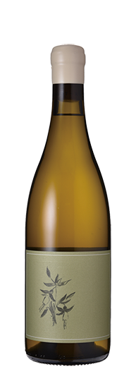 Arnot-Roberts Ribolla Gialla Bengier Vineyard Napa Valley 2022 2023 , 2022