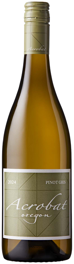 Acrobat Pinot Gris 2024