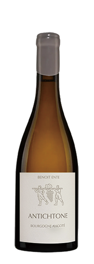 Domaine Benoît Ente Bourgogne Aligoté Antichtone 2023