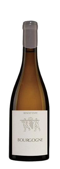 Domaine Benoît Ente Bourgogne Blanc 2023