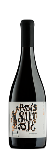 Bouchon Pais Salvaje Red Maule Valley 2022