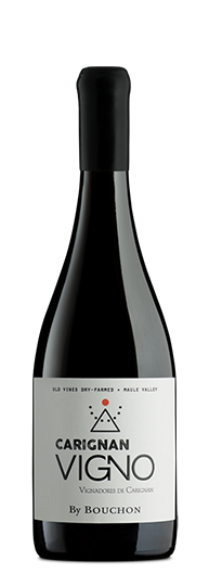 Bouchon Vigno Carignan Maule Valley 2020
