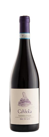 Ca'Viola Barbera d'Alba Bric du Luv D.O.C. 2022