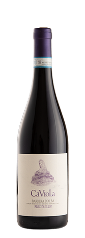 Ca'Viola Barbera d'Alba Bric du Luv DOC 2022