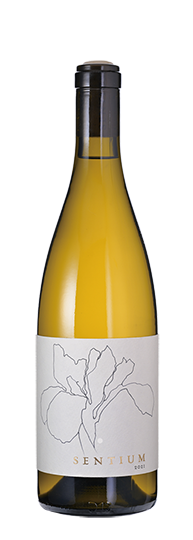 Sentium	Sauvignon Blanc Mendocino 2023