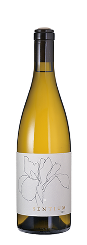 Sentium	Sauvignon Blanc Mendocino 2023