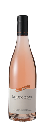 Domaine David Duband Bourgogne Rosé 2023