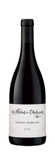 Les Terres de Philéandre by David Duband Savigny les Beaune Rouge 2021
