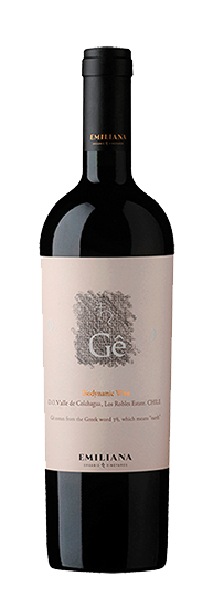 Emiliana Gê Valle de Colchaguay 2019