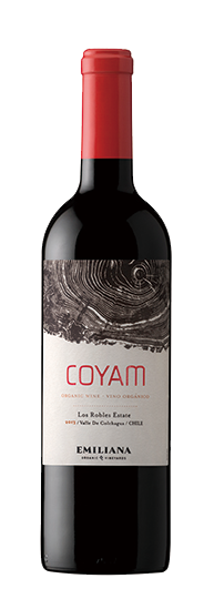 Emiliana Coyam 2021