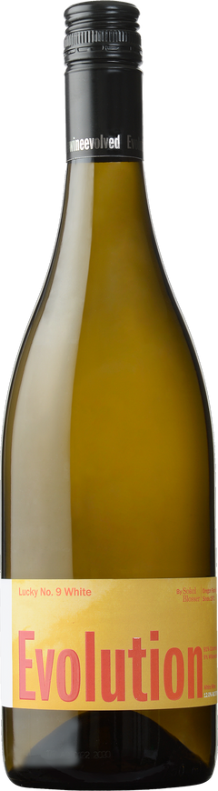Sokol Blosser Evolution White Lucky Number 9 2023