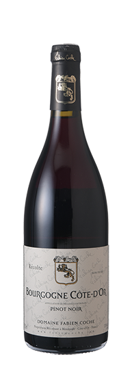 Domaine Fabien Coche Bourgogne Côte-d'Or Pinot Noir 2022 2023 , 2022