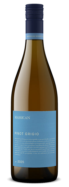 Massican Pinot Grigio 2025