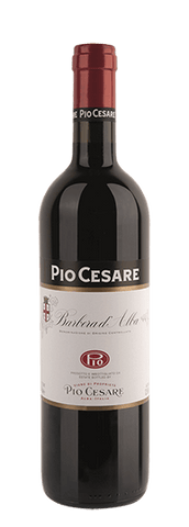 Pio Cesare Barbera d'Alba DOC 2020