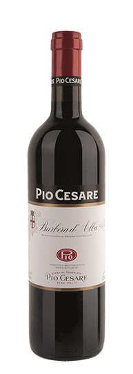 Pio Cesare Barbera d’Alba D.O.C. 2022