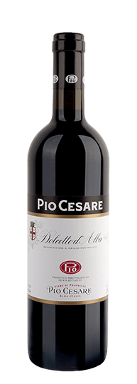 Pio Cesare Dolcetto d'Alba D.O.C. 2023