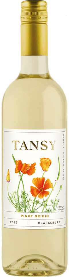 Tansy Pinot Grigio Clarksburg 2025