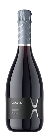 Vanzini	Pinot Nero Spumante Extra Dry V.S.Q. Teucro NV