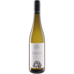 Weingut Mayer Am Pfarrplatz Gruner Veltliner Beethoven No.9 2024