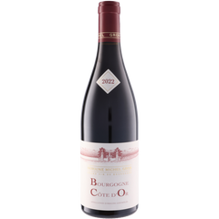 Domaine Michel Gros Bourgogne Cote D'Or 2022