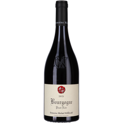 Domaine Michel Noellat Bourgogne Rouge 2021