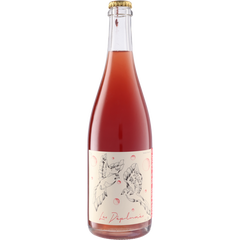 Fontaine Des Grives Les Deplumes Rouge Vin De France 2022