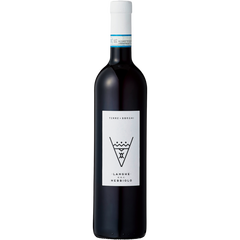 Terre E Borghi Langhe Nebbiolo 2022