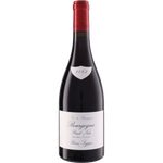 Remi Seguin Bourgogne Pinot Noir 2023