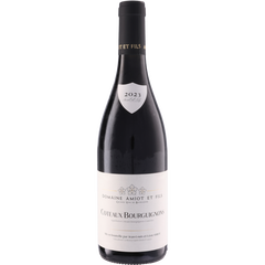 Domaine Amiot Et Fils Coteaux Bourguignons 2023
