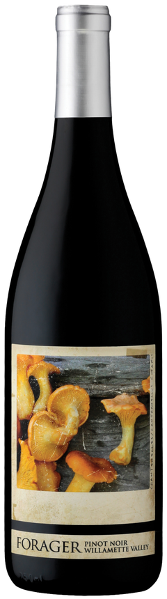 Forager Pinot Noir Willamette Valley 2024