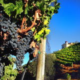 Malibu Rocky Oaks Cabernet Reserve 2017