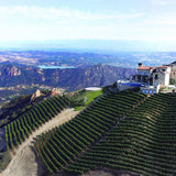 Bachelorette Party Rosé / Sparkling Rosé Wine 6 Bottles Set