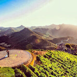 Malibu Rocky Oaks Sparkling Rosé 2017