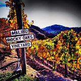 Malibu Rocky Oaks Sparkling Rosé 2017