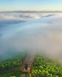 Bachelorette Party Rosé / Sparkling Rosé Wine 6 Bottles Set