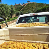 Malibu Rocky Oaks Chardonnay 2018