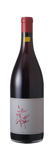 Arnot Roberts Gamay Noir El Dorado 2019