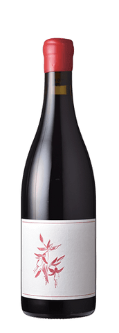 Arnot-Roberts Pinot Noir Legan Vineyard Santa Cruz Mountains 2019