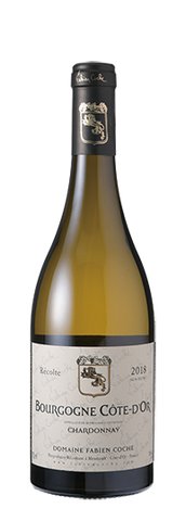 Domaine Fabien Coche Bourgogne Côte-d'Or Chardonnay 2020